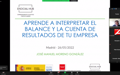 Se ha impartido en E-SOCIAL HUB el webinar «Aprende a interpretar el balance y la cuenta de resultados de tu empresa».